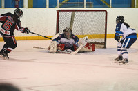 Brampton Canadettes 'AA' vs Oakville 2013.02.03