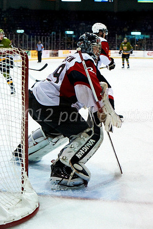 Brampton Battalion vs Niagara Ice Dogs - Mark Visentin