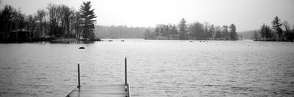 Muskoka Scene 12"x36"