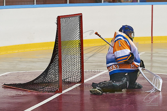 201400607-BramptonvsMississauga_000005